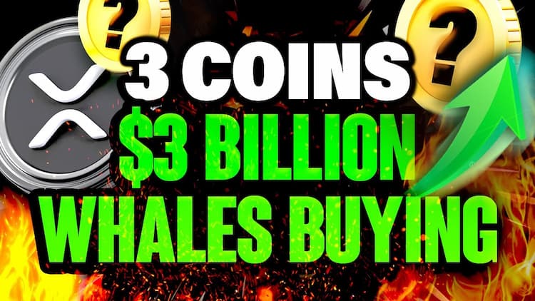 Crypto Whales Are Buying These 3 Altcoins Ahead of Alt Season 