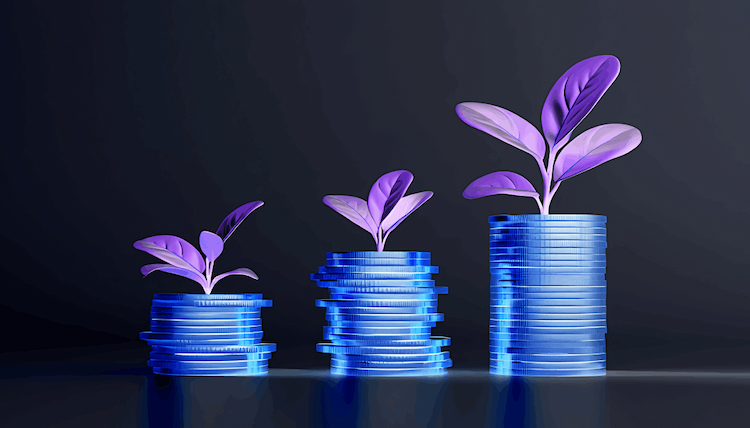 The Role of Venture Capitals in Web3 Innovation