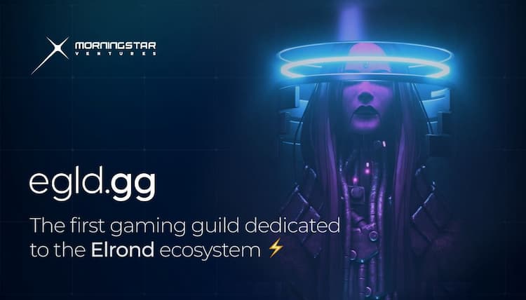 Morningstar Ventures launches Egld.gg, the first gaming guild dedicated To the Elrond ecosystem