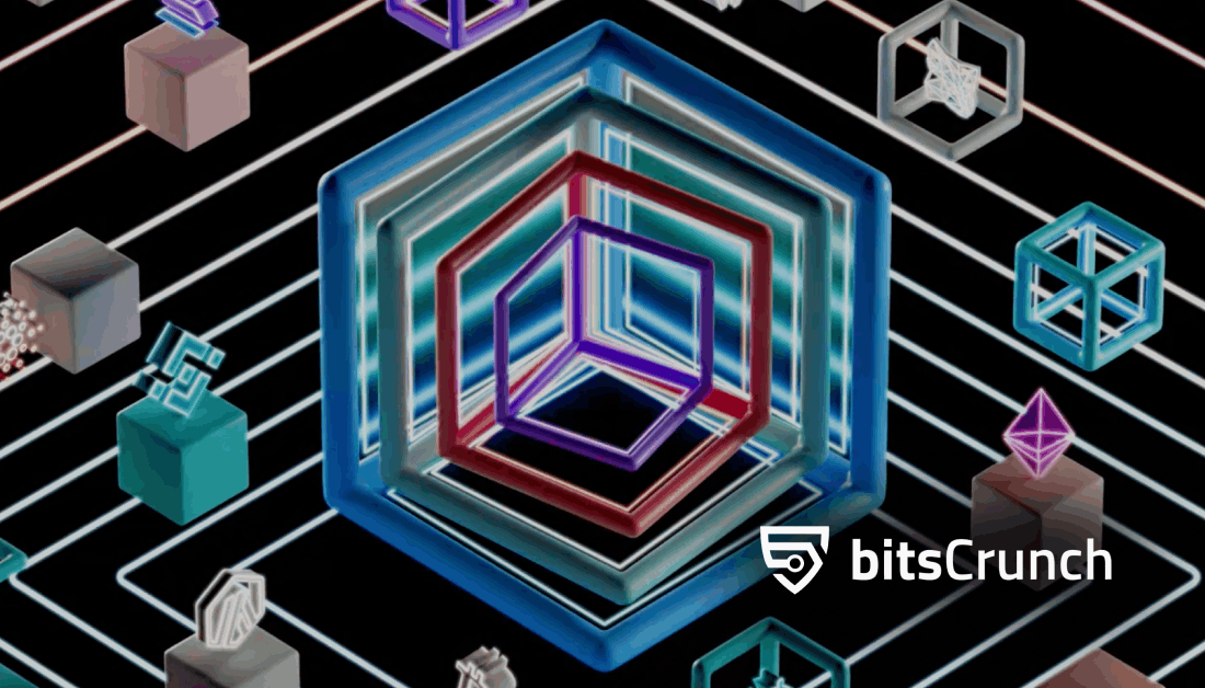 bitsCrunch - AI-enhanced Decentralized NFT Data Network