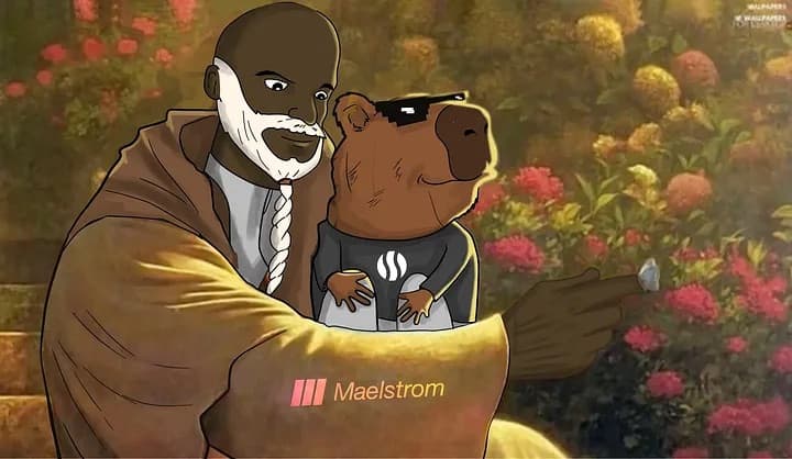 Hyperion receives strategic investment from Maelstrom Fund to advance DeFi infrastructure on Aptos.
