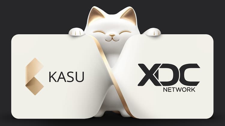 Kasu secures a $1M investment from XDC Network to enhance its stablecoin system, yield products, and compliance-ready DeFi infrastructure.
